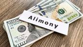 what counts as income for alimony