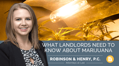Landlords should review their rental criteria, lease documents, and rental/lease policies for any discrepancies related to marijuana use, possession, and cultivation a tenant could exploit.